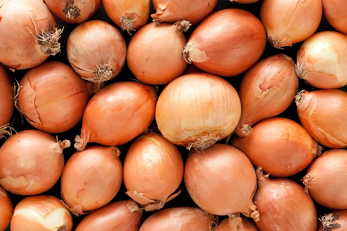 Onion does much more than giving a foul breath. (Photo: iStock)