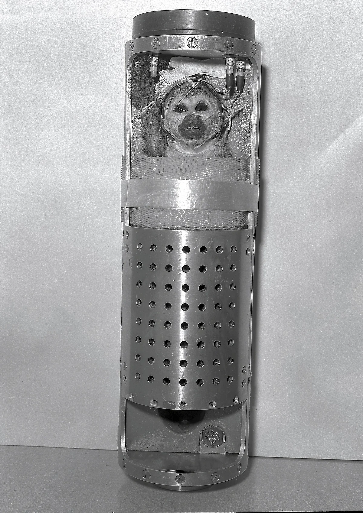 Baker strapped in her bio-pack awaiting launch. (Photo Courtesy: Wikimedia Commons)