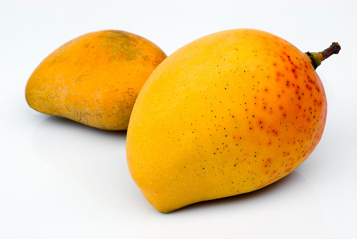 What lies at the heart of the great Indian mango romance? Follow the mango trail through these Indian states!
