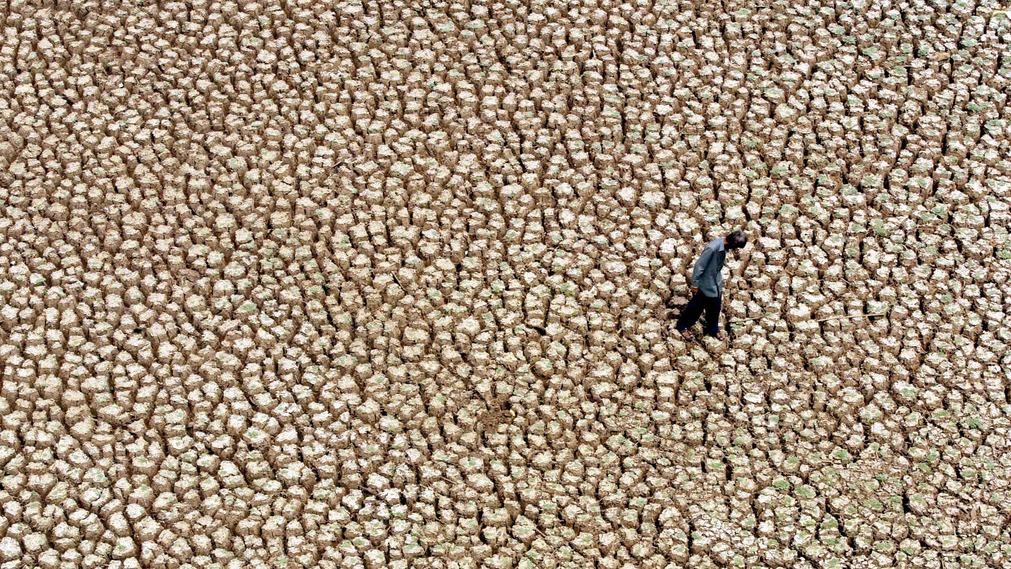 Fisherman walks on a dry lake bed near Hyderabad. Image used for representational purposes. (Photo: Reuters)