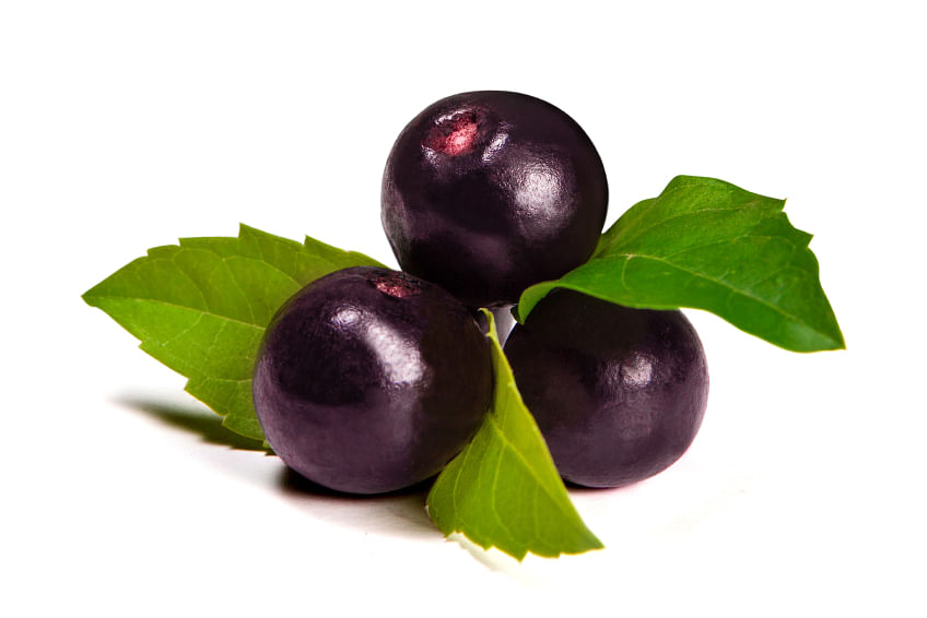 Acai Berry: Why this Super Food is Good for You