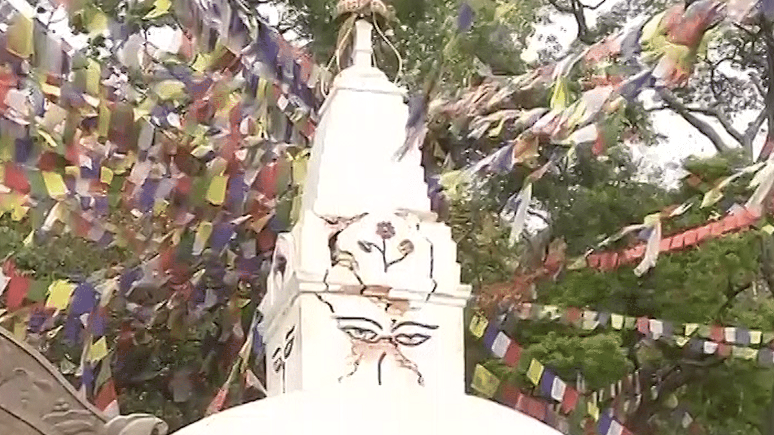 A representational photo of a Hindu temple. (ANI video grab)