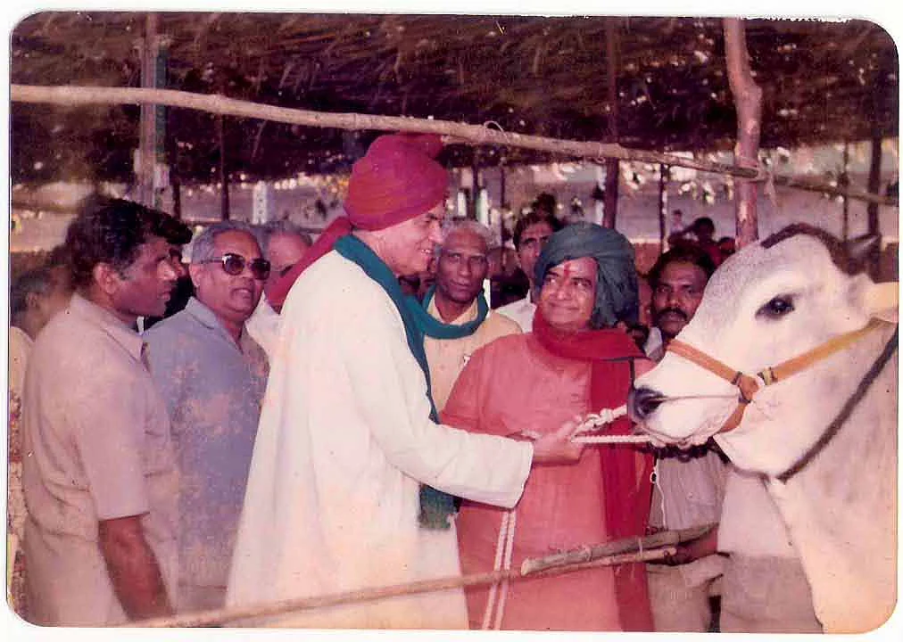 Ongole Bull of Moses after winning the Andhra Prdesh State Award in 1988 with Sri NT Rama Rao (Green Turban).