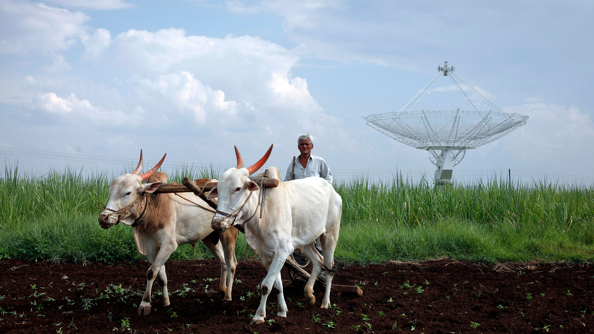 

A farmer uses his oxen to till his land in front of a satellite dish set up in an adjacent field.&nbsp;