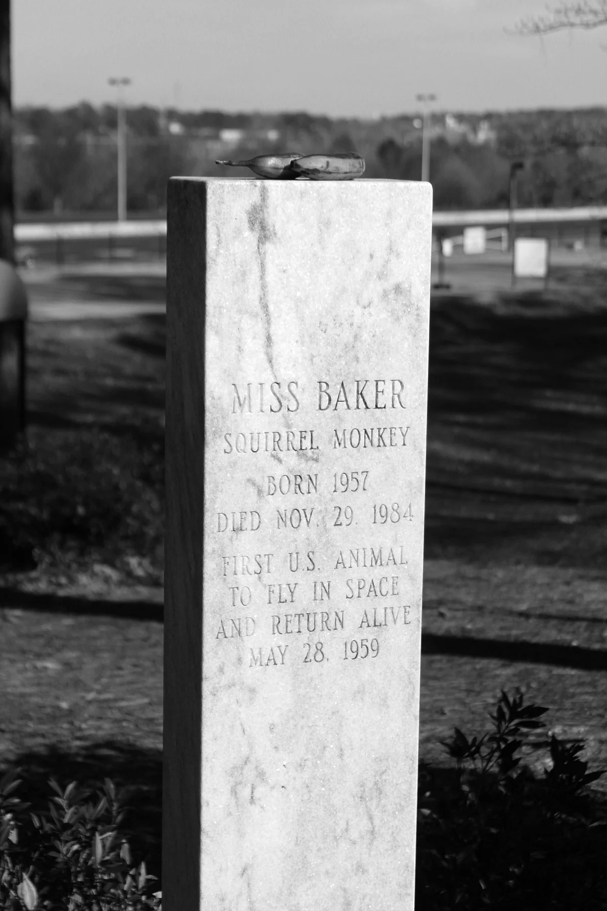 Miss Baker’s gravestone frequently has bananas on top left by visitors. (Photo Courtesy: Wikimedia Commons)