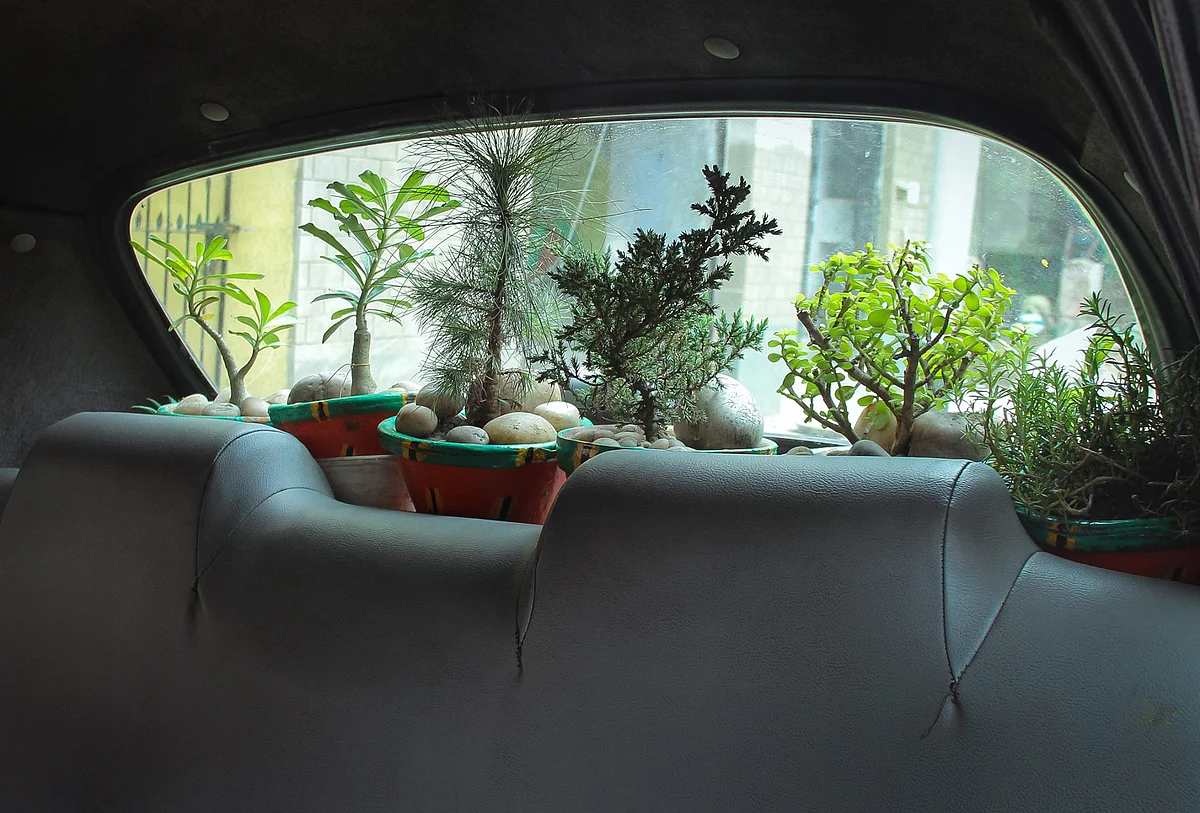 (Photo Courtesy: Facebook.com/<a href="https://www.facebook.com/profile.php?id=100008750044564">Bapi Green Taxi</a>)
