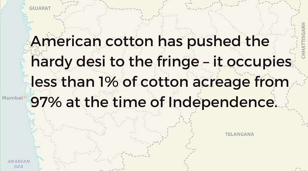 Where the British failed, the market has succeeded; American cotton has pushed the hardy desi to the fringe. 