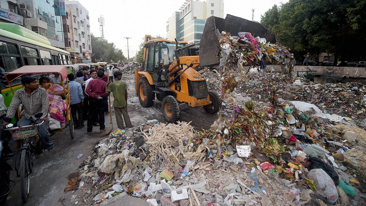 Overfilled open garbage receptacles add to the problem. (Photo: PTI)