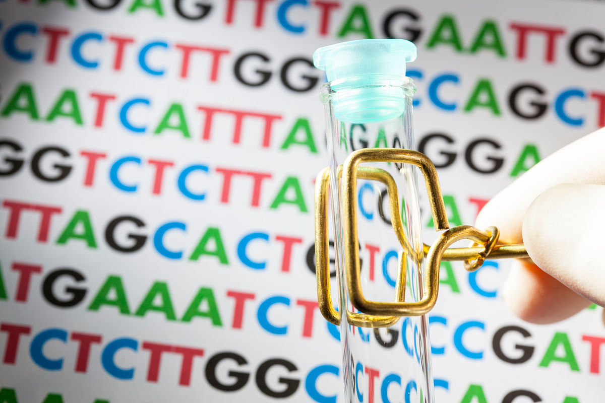 

Amazon.com is in a race against Google to store data on human DNA, that may be worth $1 bn a year by 2018.