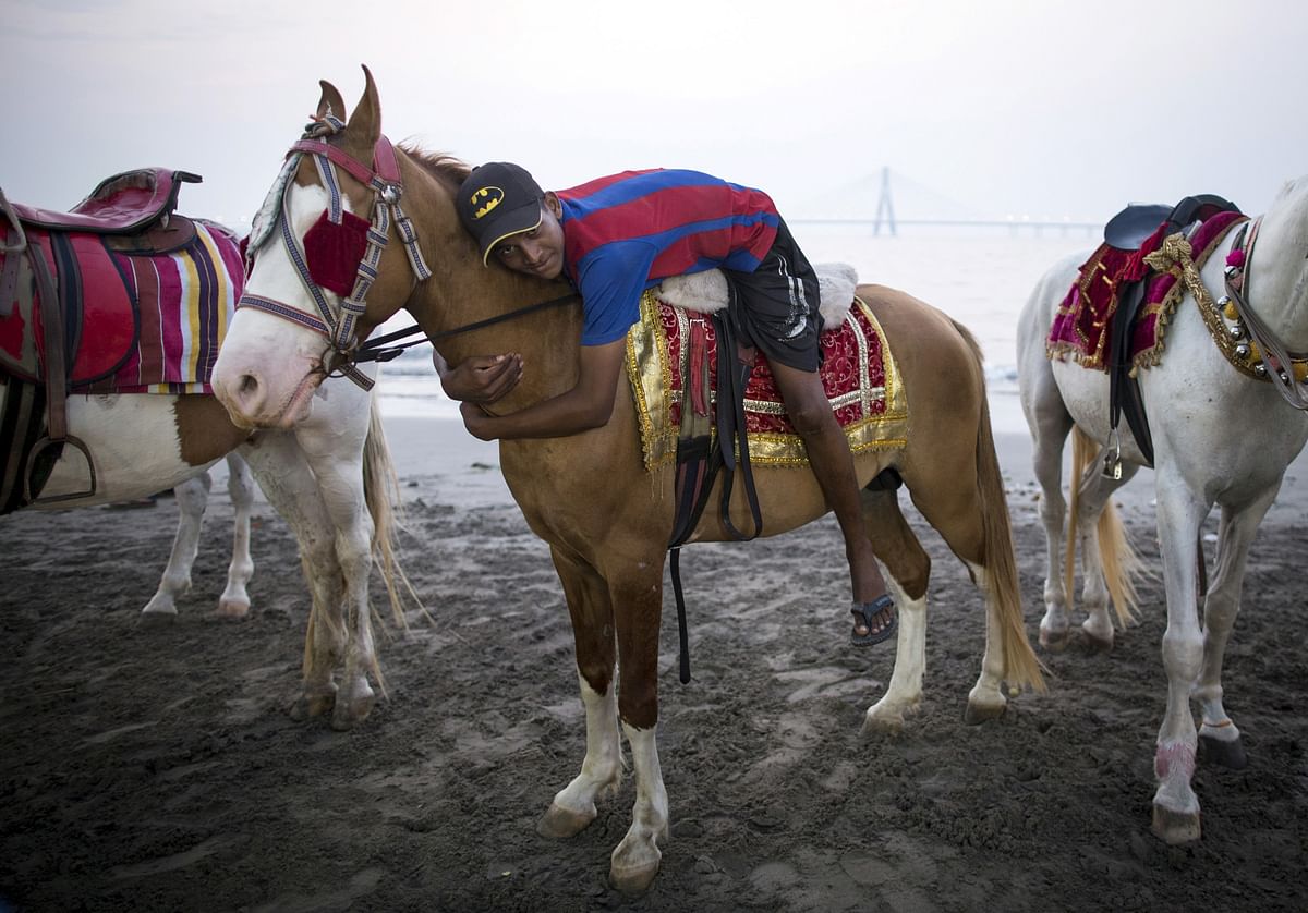 Mumbai’s horse carriages have been banned on grounds of cruelty but the men  who ran them have been rehabilitated too