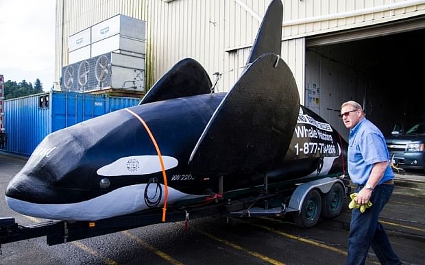 Officials in  Oregon fishing village in the US have deployed a motorised fake orca whale  to scare off  sea lions. 