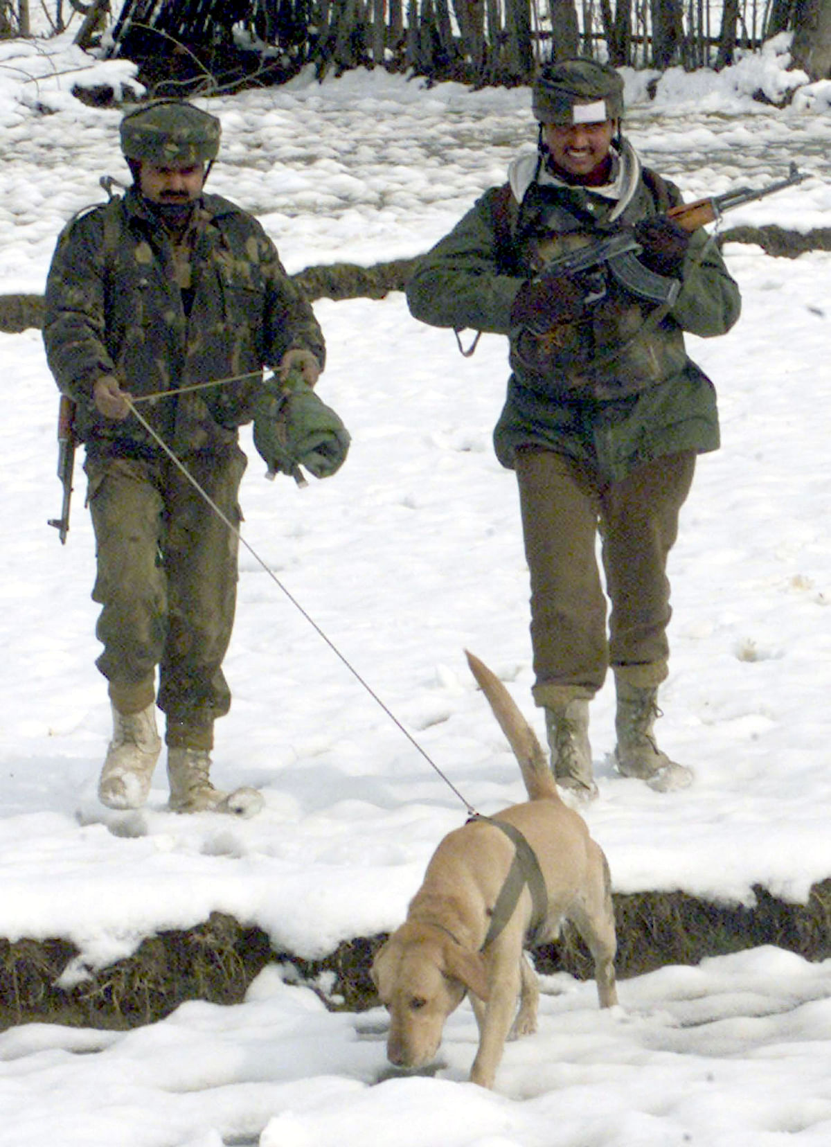 India too needs a Robby’s Law for its military dogs to save them from euthanasia.