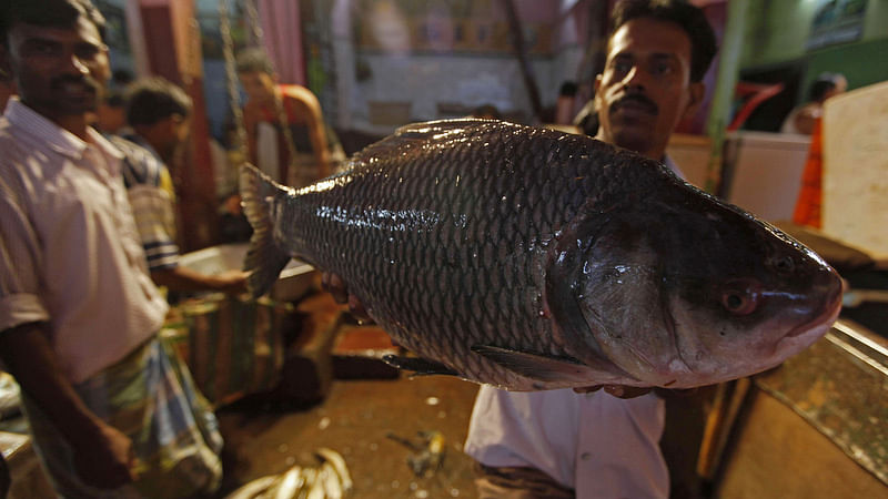 The Bengali’s love for fish is well known. A fishmonger in Kolkata displays his catch of the day. (Photo: Reuters)
