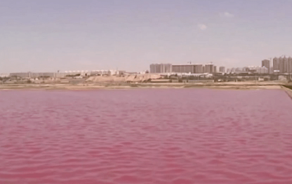 Pink Lake in China. (Photo: AP screengrab)