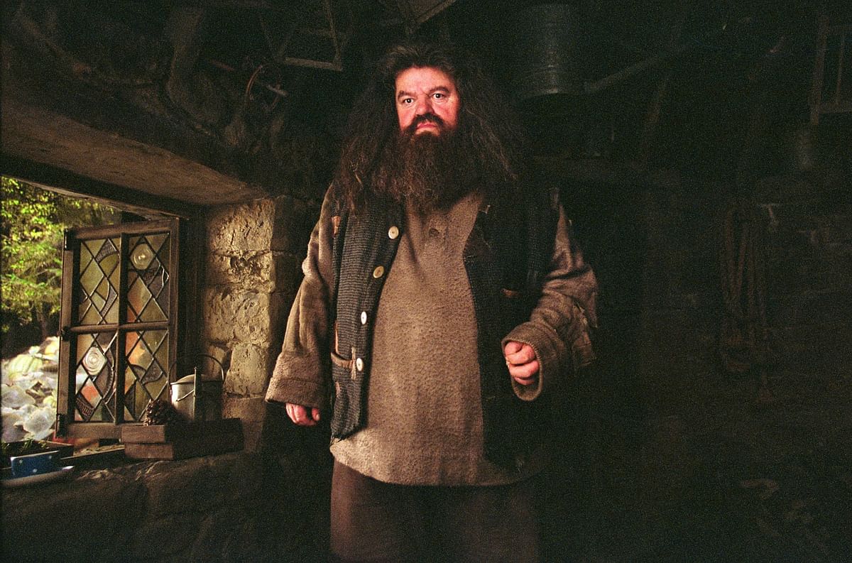 JK Rowling’s revelations about Hagrid and Dumbledore in her new essay, post-Father’s Day, will please all fans.