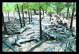 2001 Eravadi, Tamil Nadu: Those are not wooden logs in the picture. Zoom in, these are corpses of 25 mentally challenged people, who couldn’t escape a fire and were charred to death because they were chained to their beds (Photo: Wikipedia)