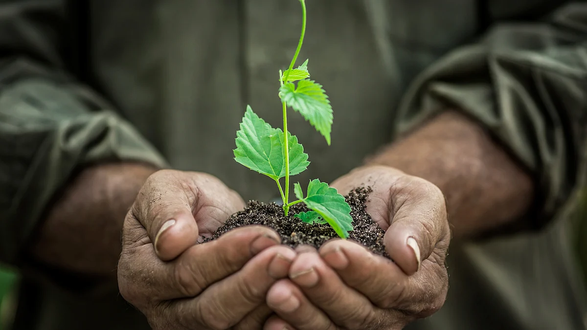 If we don’t start making major changes, we may be wiped out. (Photo: iStockphoto)