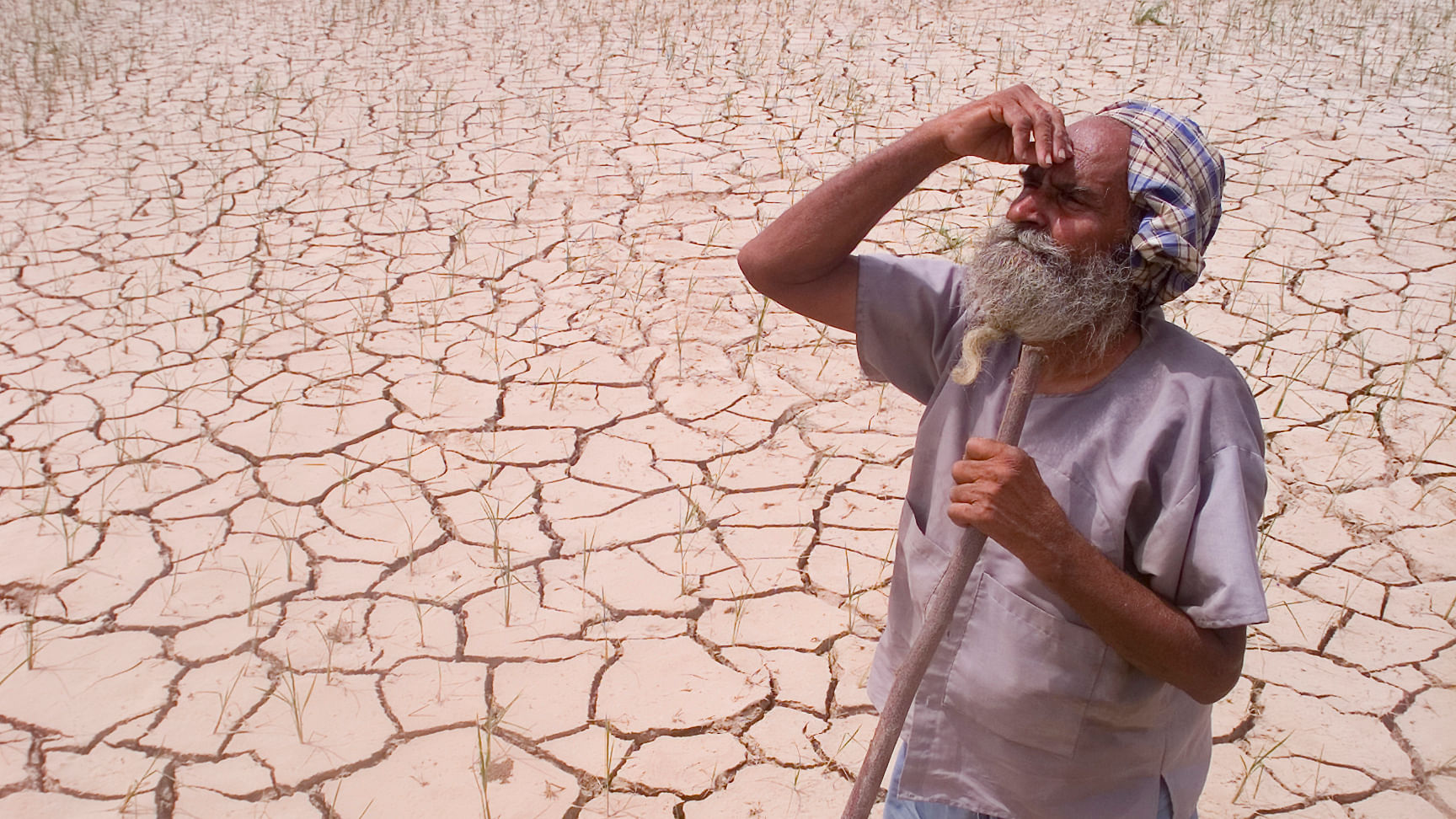 An Indian farmer looks towards the sky, while standing amidst his drought-stricken crop. Image used for representation. (Photo: Reuters)