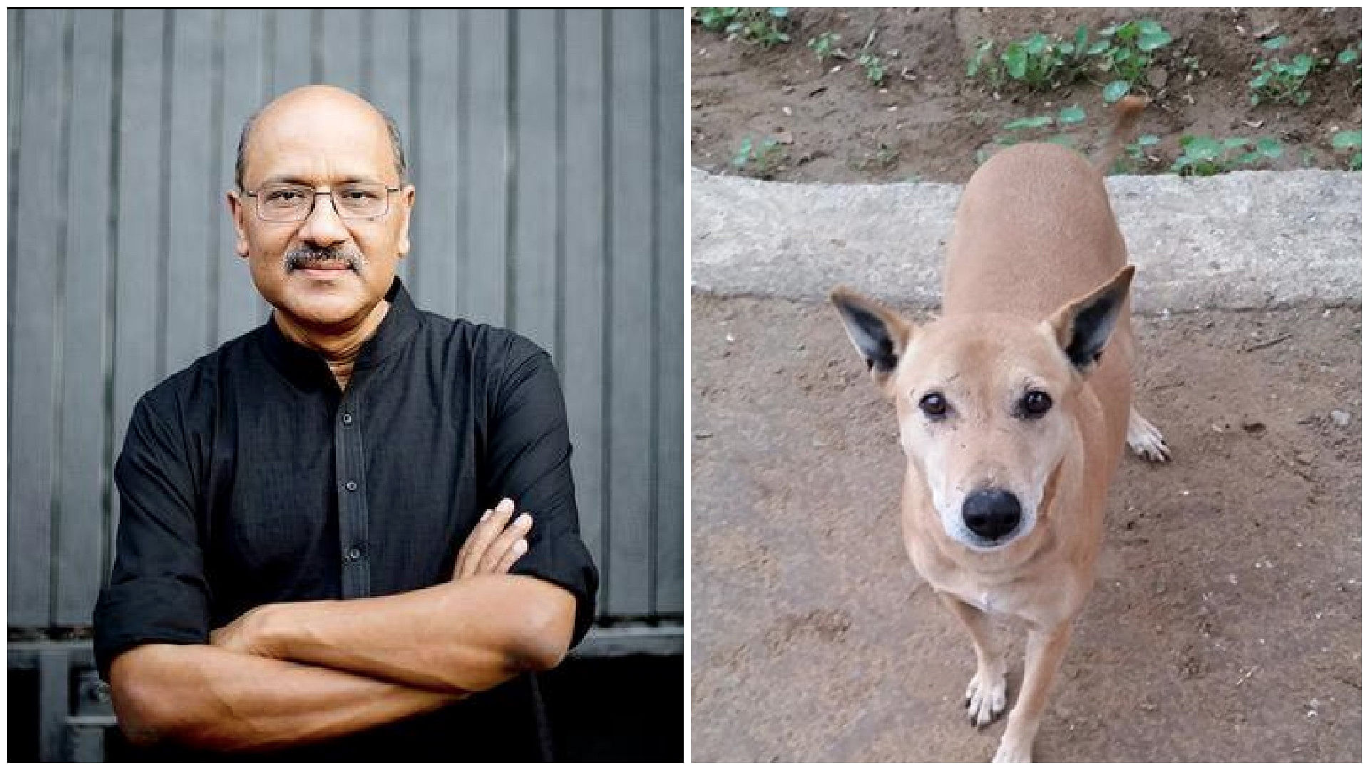 Shekhar Gupta made a strong pitch on Facebook and on Twitter against the Kerala government’s proposal to cull stray dogs in the state. (Photo Courtesy: Facebook/Shekhar Gupta)