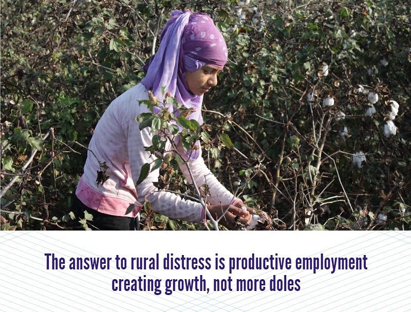 Distributing doles through schemes such as MNREGA has a detrimental effect on agricultural labour.