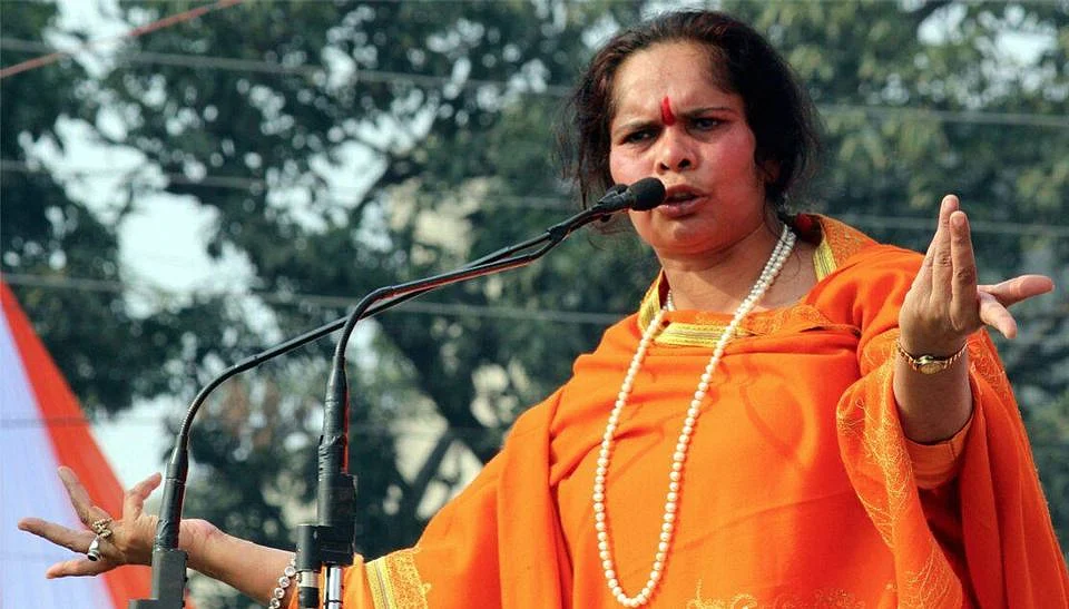 VHP leader Sadhvi Prachi. (Courtesy: Facebook/<a href="https://www.facebook.com/pages/Sadhvi-Dr-Prachi-didi/587170201337662?fref=ts">Sadhvi Prachi</a>)