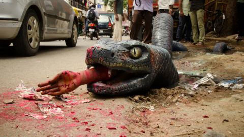 Anaconda on the streets of Bengaluru. (Photo: The News Minute)