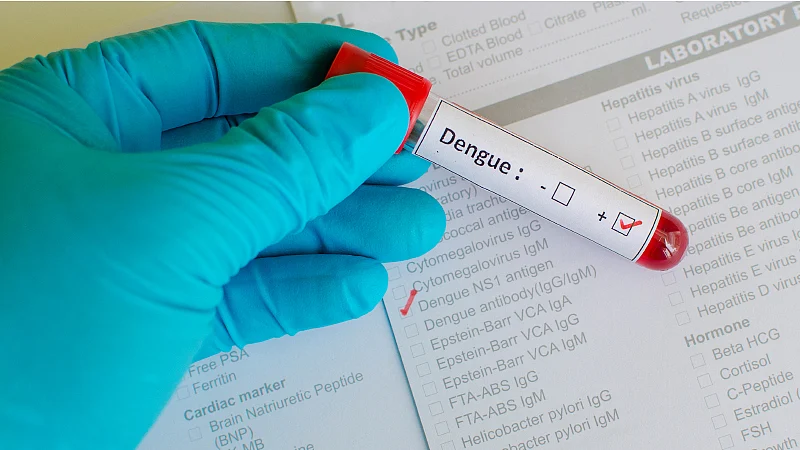 Dengue: All You Need to Know