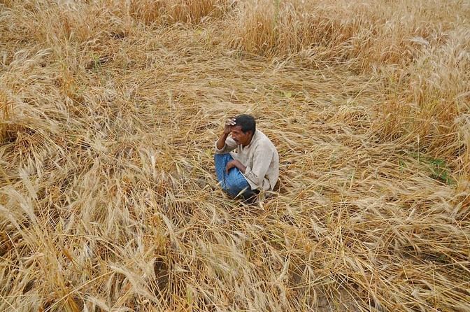 The story of how India failed its farmers.