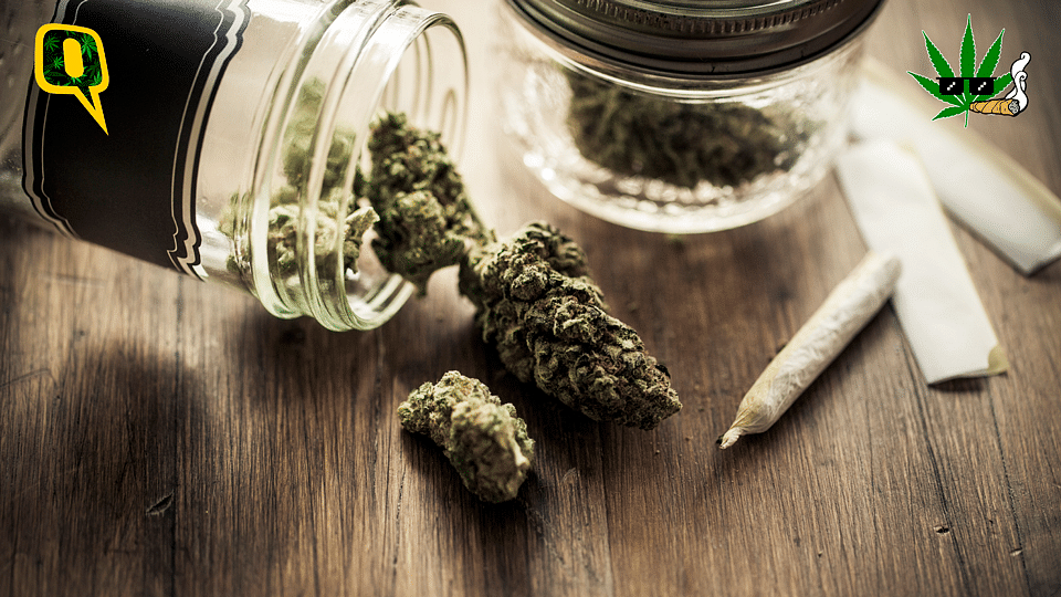 Time to say #YesToWeed (Photo:Istock)