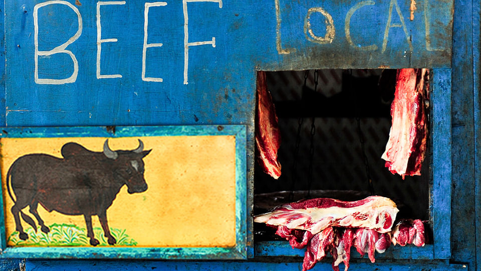 The Holy Cow, Hindutva and meat politics. (Photo: iStock; image altered by The Quint)
