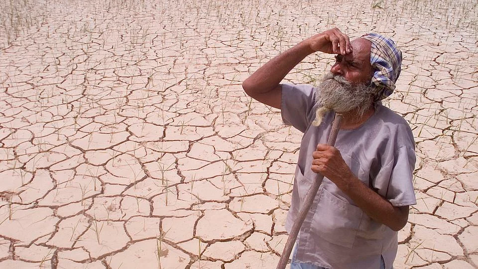 A farmer looks towards the sky, while standing amidst his drought-stricken crop. (Photo: Reuters)