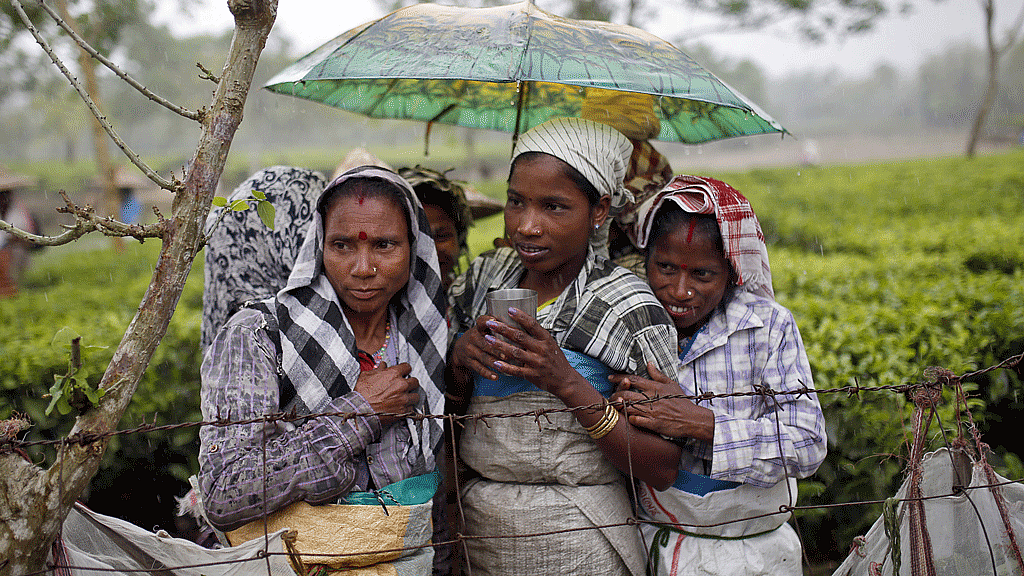 Why the India tea story is more complex than just broken toilets and leaking homes. (Photo: Reuters)