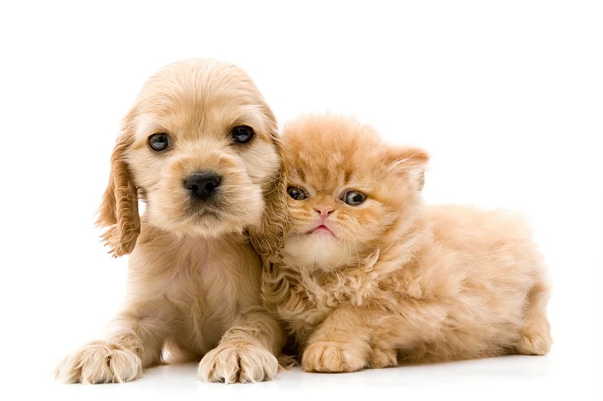 (Photo: iStock)
