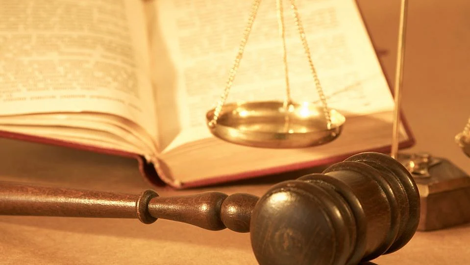 Litigant says it should be reconstituted as there is no NGO member in it.