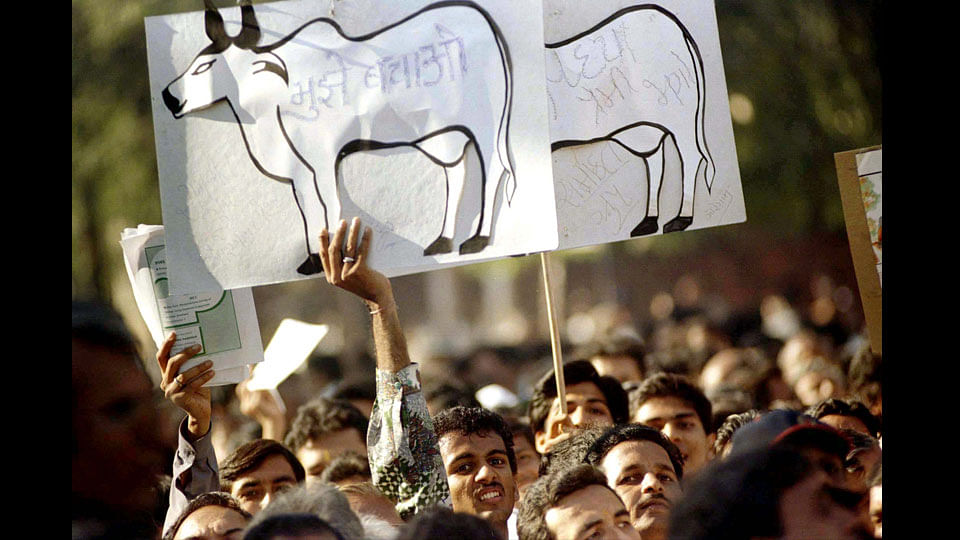 Jains agitating against animal slaughter in Mumbai. (Photo: Reuters)