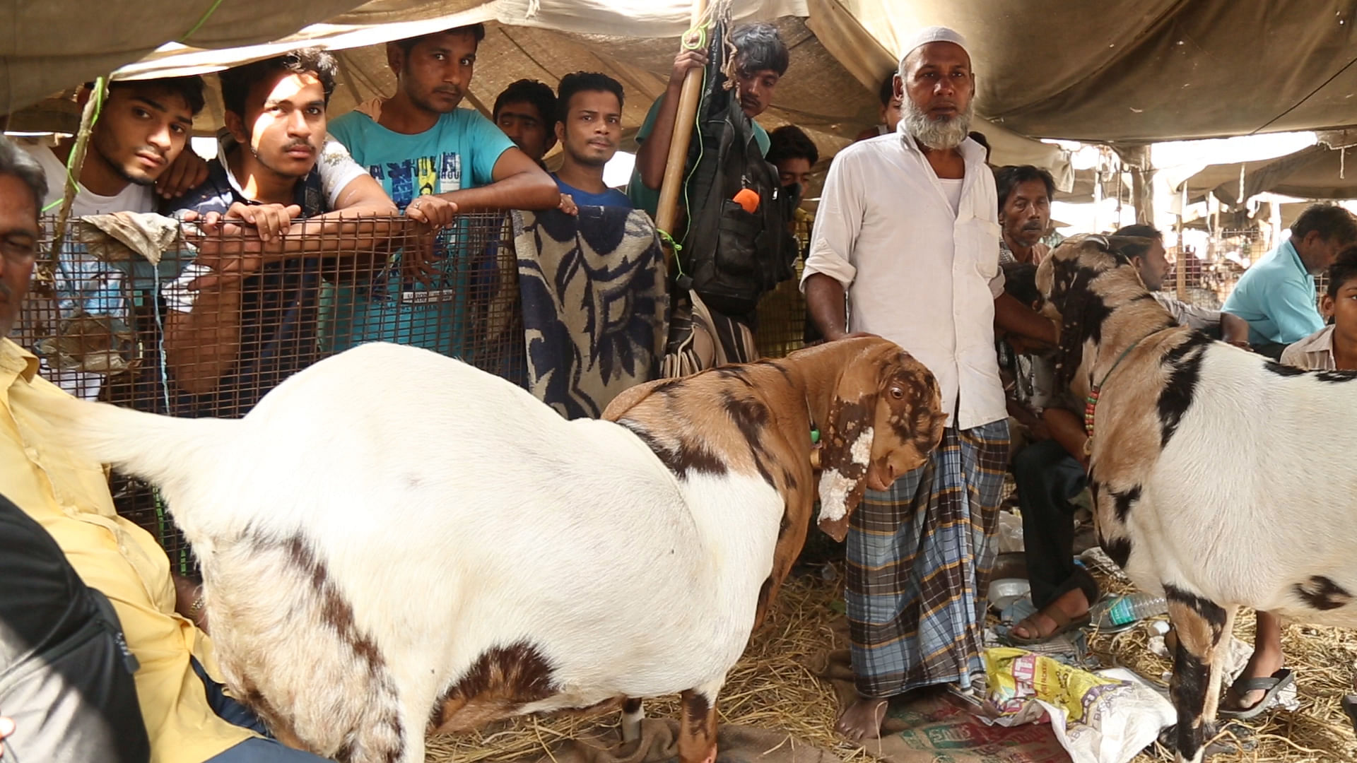 Bakra Eid 2021 Greetings and Wishes: Bakrid Mubarak HD Images, Messages,  WhatsApp Stickers, GIFs and Wallpapers to Share With Family and Friends on  Eid al-Adha | 🙏🏻 LatestLY