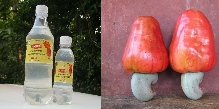 About 90 per cent of the cashew grown in Karnataka that goes waste now finds its purpose in a ‘Funny’ drink.