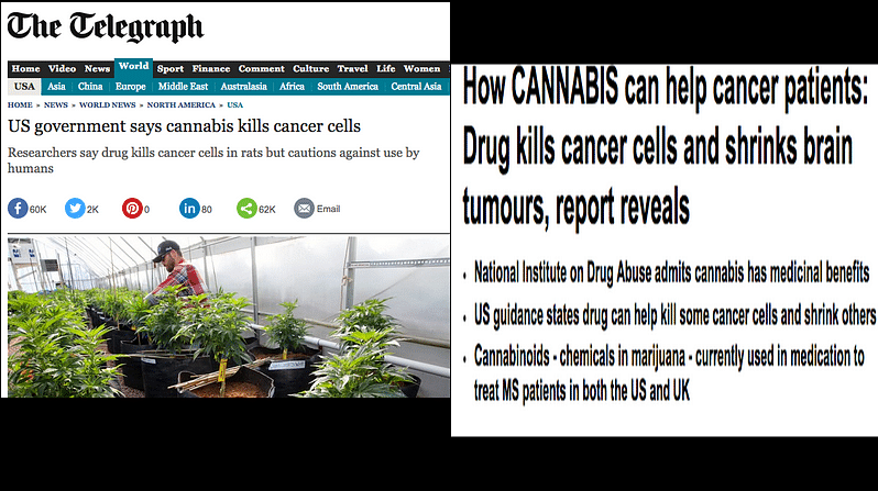 An expert separates the truth from hype and tells us if cannabis can really treat cancer