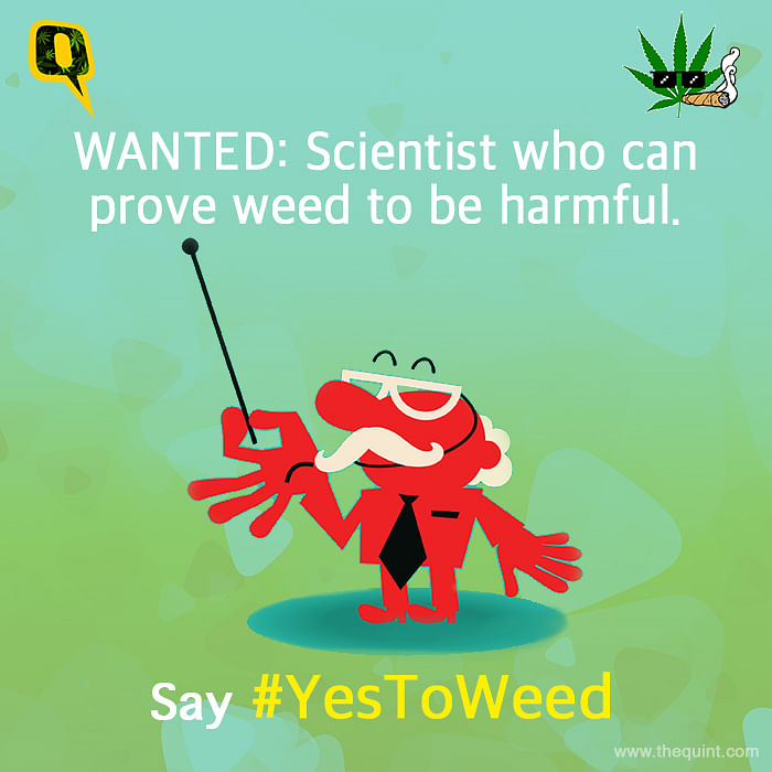 Get the facts right and decide for yourself. Join the #YesToWeed campaign and break these stereotypes.