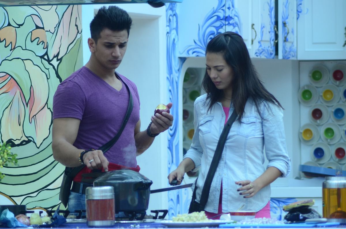 All that you didn’t know about the Bigg Boss 9 inmates 