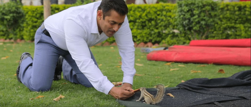Salman Khan feeding a squirrel 