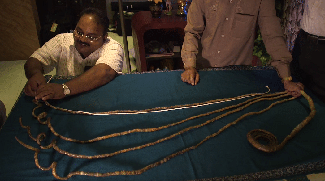 An Indian guy from Pune has the world’s longest fingernails on one hand, he hasn’t cut them since 1952!
