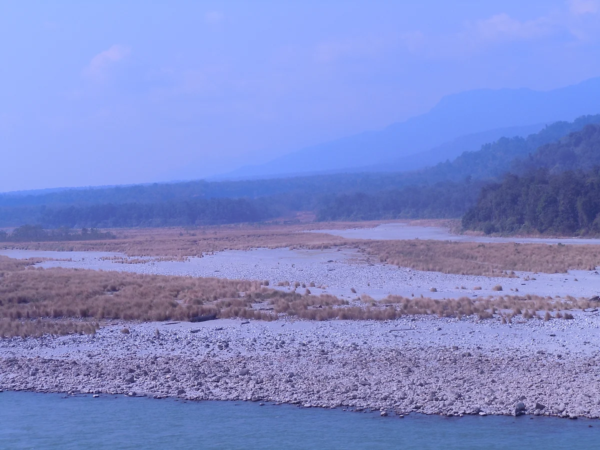 Manas National Park, the natural habitat of pygmy hogs. (Photo: Maitreyee Handique)