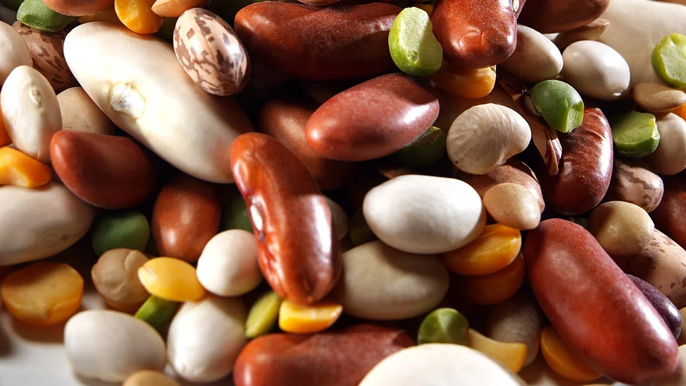 Farmers prefer to grow wheat and rice and tend to treat pulses as peripheral crops. (Photo: iStockphoto)