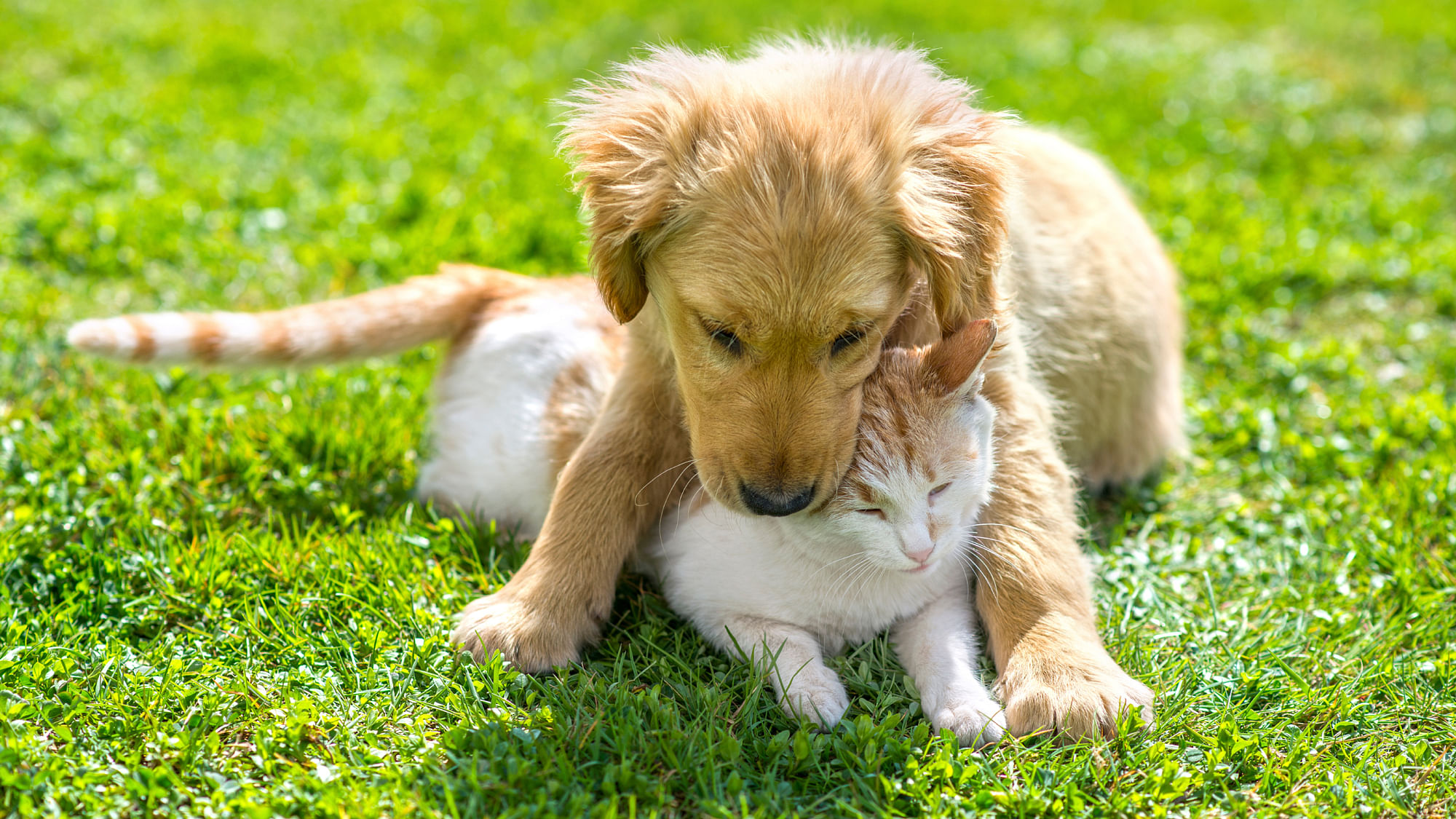 The Quint’s green newsletter. (Photo: iStockphoto)