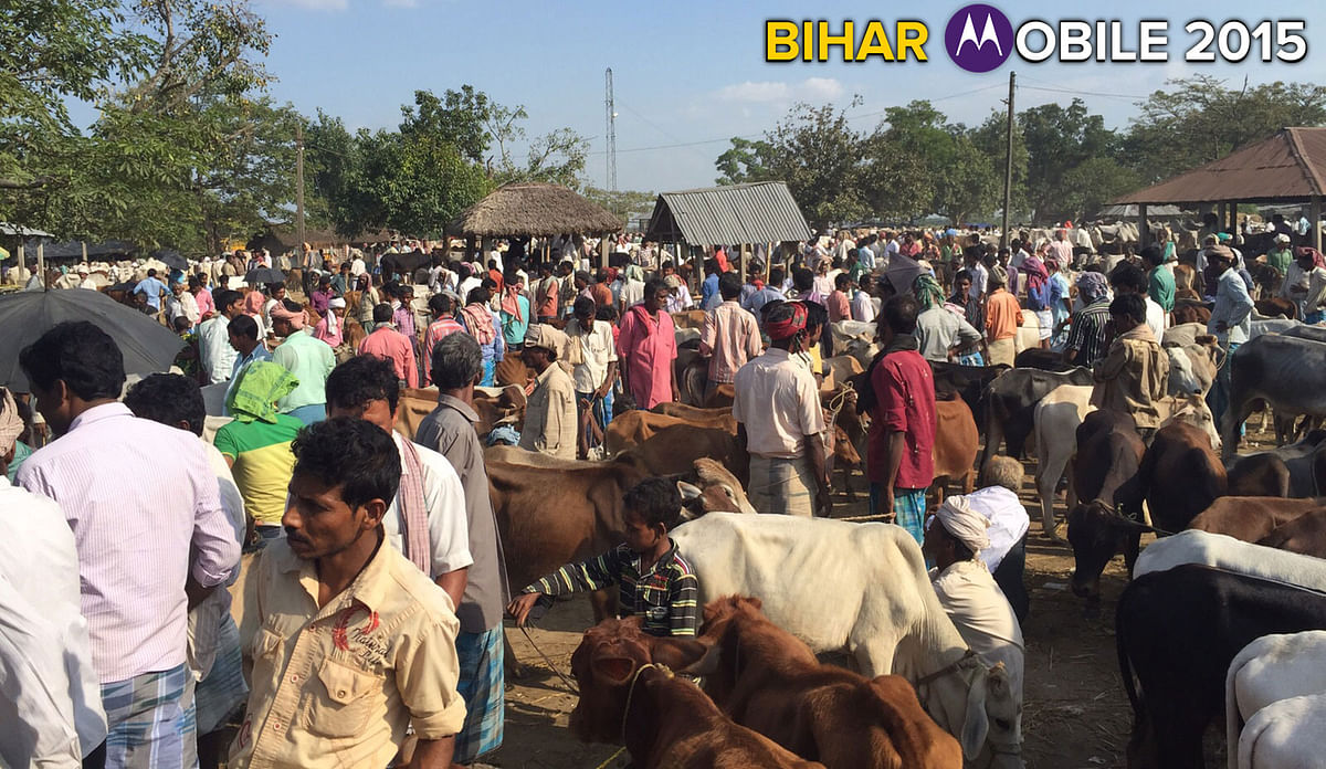Will the ground reality reflect  the political animosity between Hindu and Muslim contestants in Bihar?