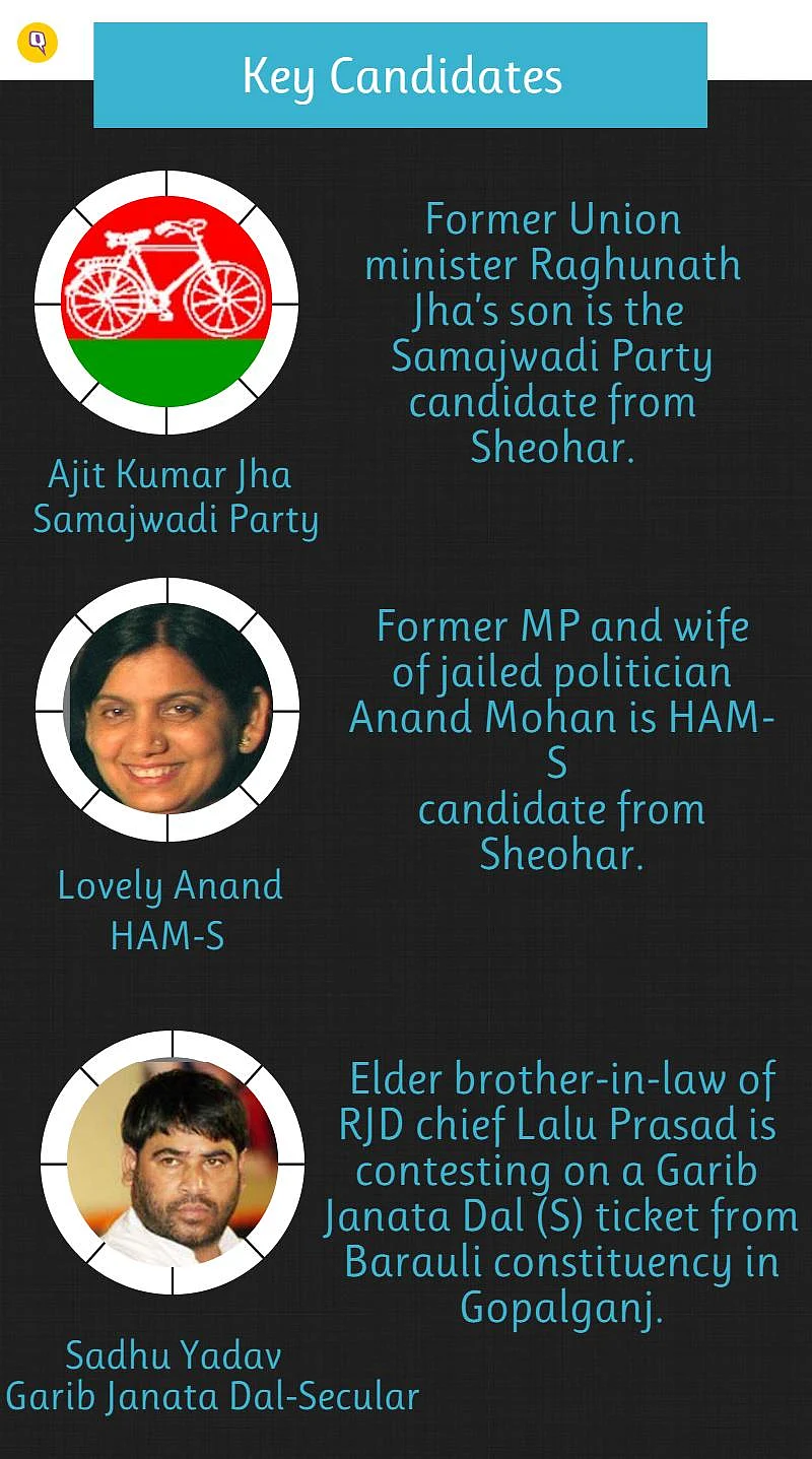 Infograph: Lovely Anand, Sadhu Yadav Key Contenders in Bihar Polls