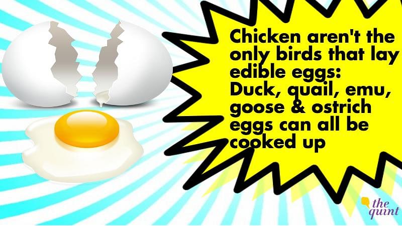 Cracking the great egg debate - are yolks cholesterol bombs or good for health?