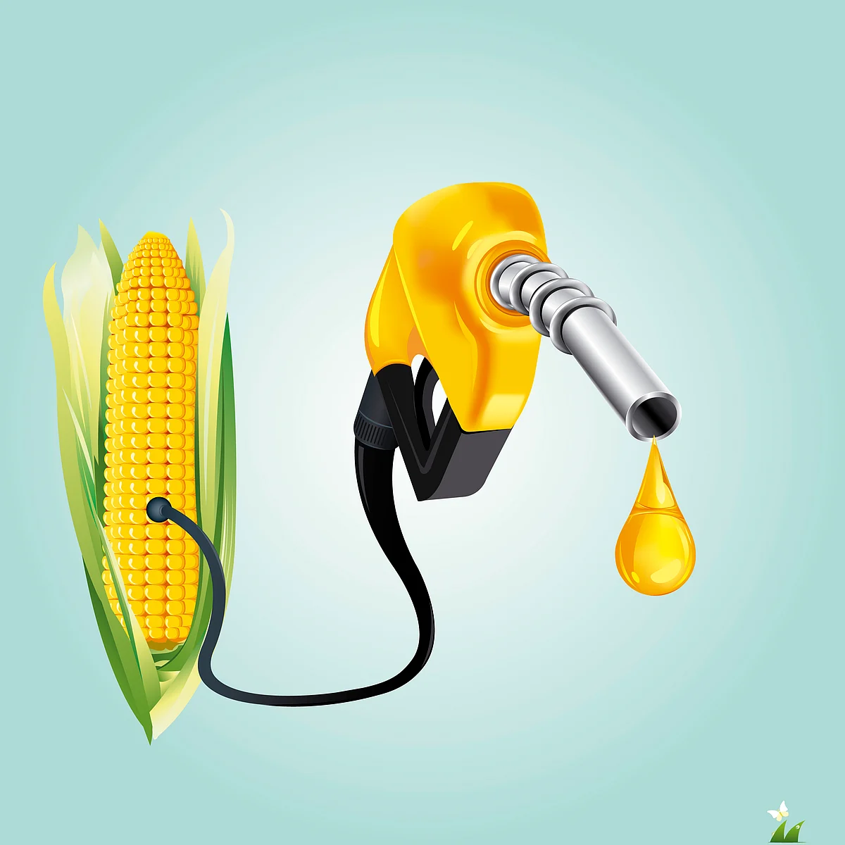 Most of the ethanol produced currently comes from sugarcane. (Photo: iStockphoto)