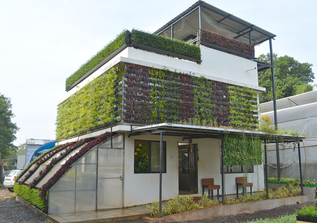A green roof isn’t just eco-friendly, it’s also a source of sheer joy if you’re living in the city.